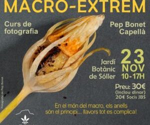 Curso de Macro Extrem en el Jardín Botánico de Soller