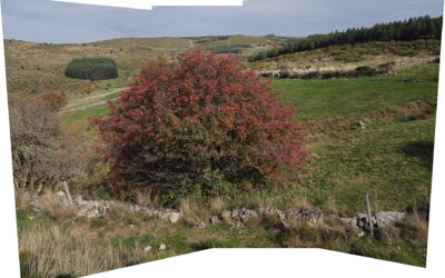 Expedición al Sistema Central, Sierras de Gredos y de Guadarrama