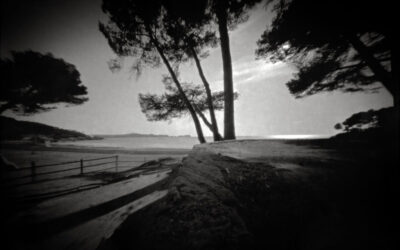 La fotografía clásica, usada en documentación científica y en comunicación.