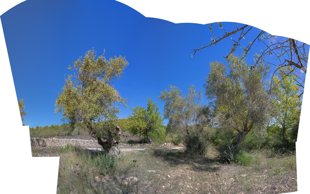 ¿ QUÉ HEMOS HECHO EN EL 2025? MEMORIA DE UN AÑO