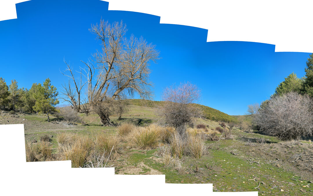 Viaje a Sierra de Baza