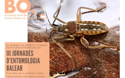 Colaboración y Ciencia: Nuestra experiencia en las III Jornades d’Entomologia Balear de MUCBO