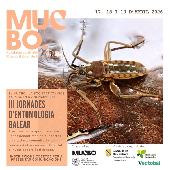 Colaboración y Ciencia: Nuestra experiencia en las III Jornades d’Entomologia Balear de MUCBO